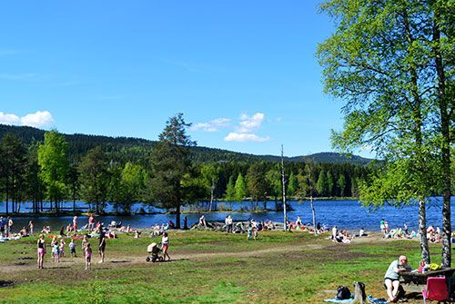 People sunbathing and relaxing at the shore of Sognsvanns lake in the summer.
