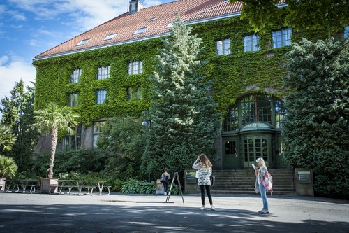 The Natural History Museum entrance covered in lush vegetation during the summer.
